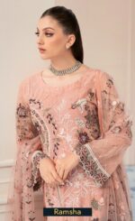 Embroidered Chiffon - D901