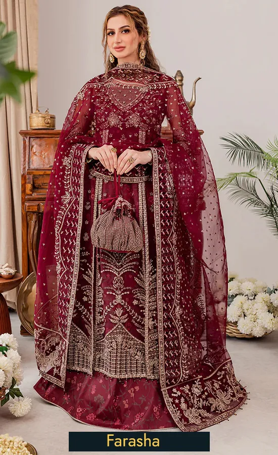 Embroidered Net Tabeer Valentina 1