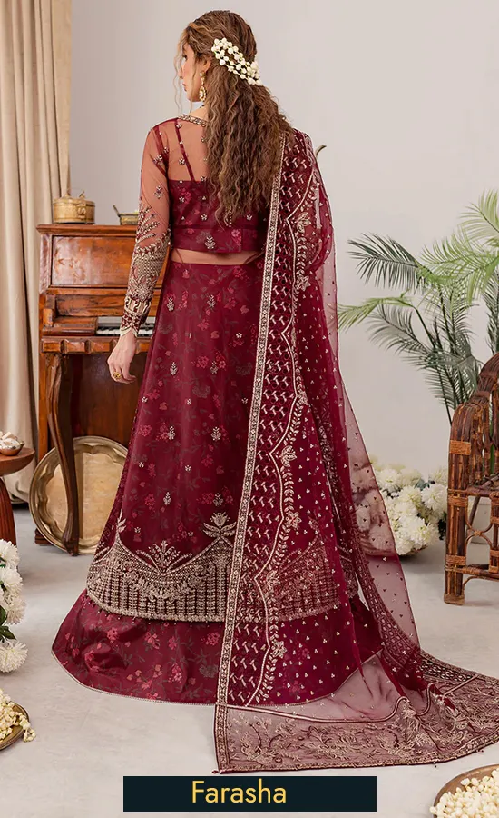 Embroidered Net Tabeer Valentina 2 1