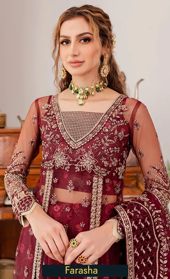 Embroidered Net Tabeer Valentina 4 1