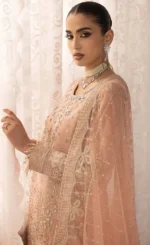 Baby Pink Salwar Kameez​ For Wedding Guestsss (2)
