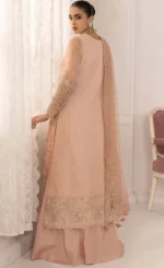 Baby Pink Salwar Kameez​ For Wedding Guestsss (4)