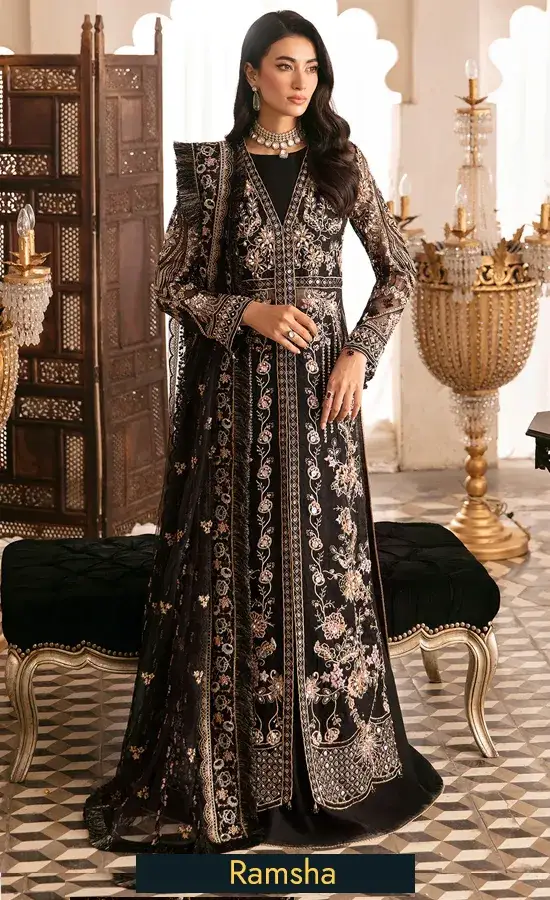 Embroidered Organza - H 306 - 4 H 306