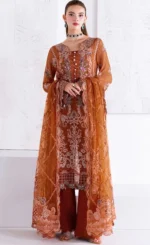 Orange Colour Salwar Kameez For Wedding Guestsss (2)