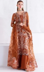 Orange Colour Salwar Kameez For Wedding Guestsss (3)