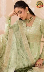 Green Color Punjabi Suit​ For Wedding Guests s (4)