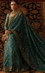 Multi Color Saree For Wedding Guestsss (2)