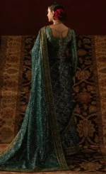 Multi Color Saree For Wedding Guestsss (4)