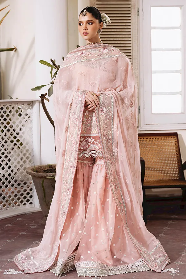 Sharara Suit