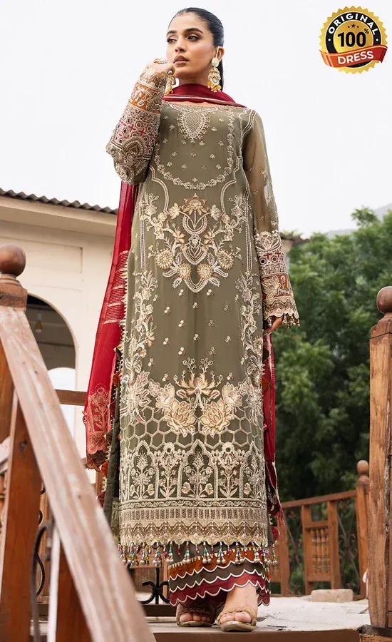 Embroidered Chiffon - I-214 Chaandni