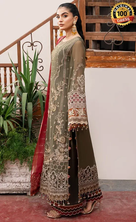 Embroidered Chiffon - I-214 Chaandni
