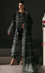 Winter Salwar Kameez For Wedding Guests (1)
