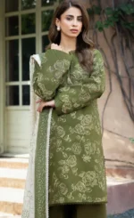 Sage Green Salwar Kameez — product view 1