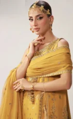 Haldi Dress For Women For Wedding Guests1 (1)