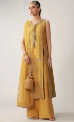 Haldi Dress For Women For Wedding Guests1 (3)