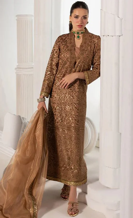 Embroidered Chiffon - AJIZL11 (2)