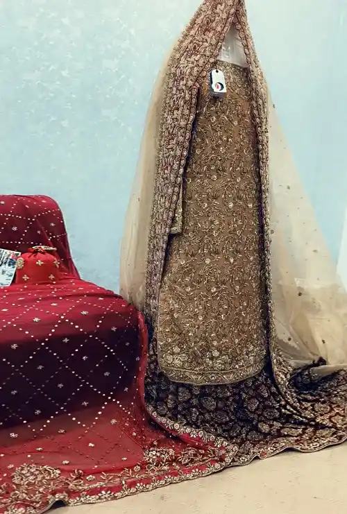Shadi-Dress-dress-real-image-rust-and-gold_17.webp