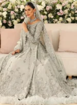 Silver Pakistani Wedding Gown (4)