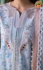 Light Blue Salwar Kameez (4)