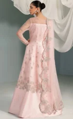 Ombre Wedding Gown For Wedding Guests (2)