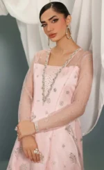 Ombre Wedding Gown For Wedding Guests (4)