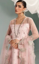 Ombre Wedding Gown For Wedding Guests (5)