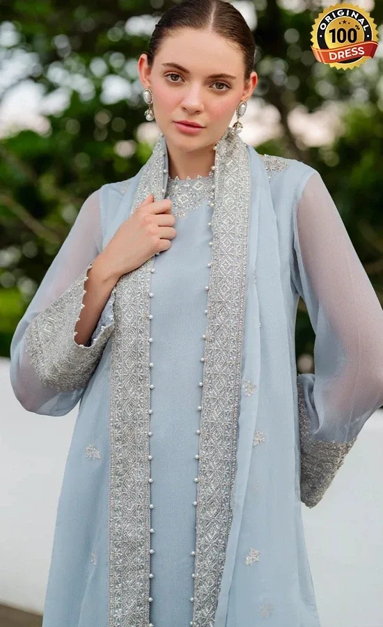 Embroidered Chiffon CC-70 (2)
