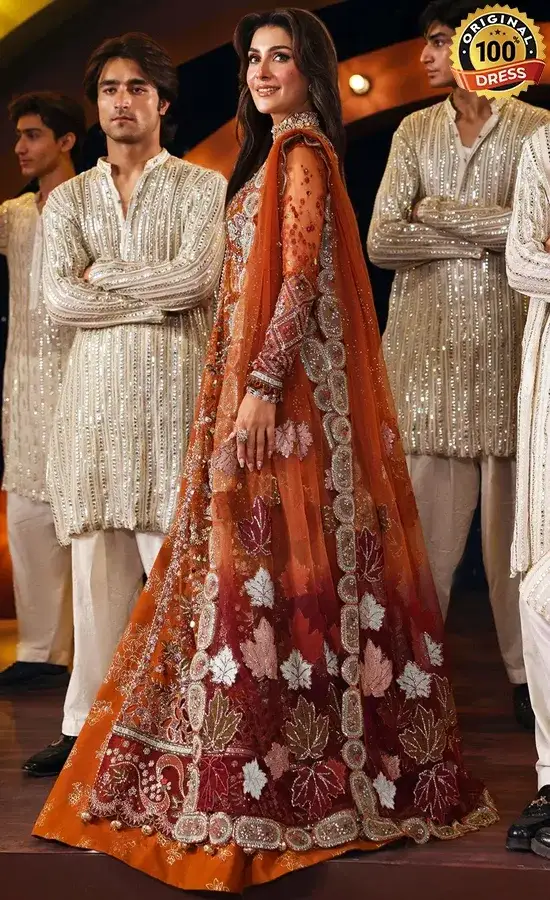 Embroidered Net NL-80 Zardozi Dress (3)