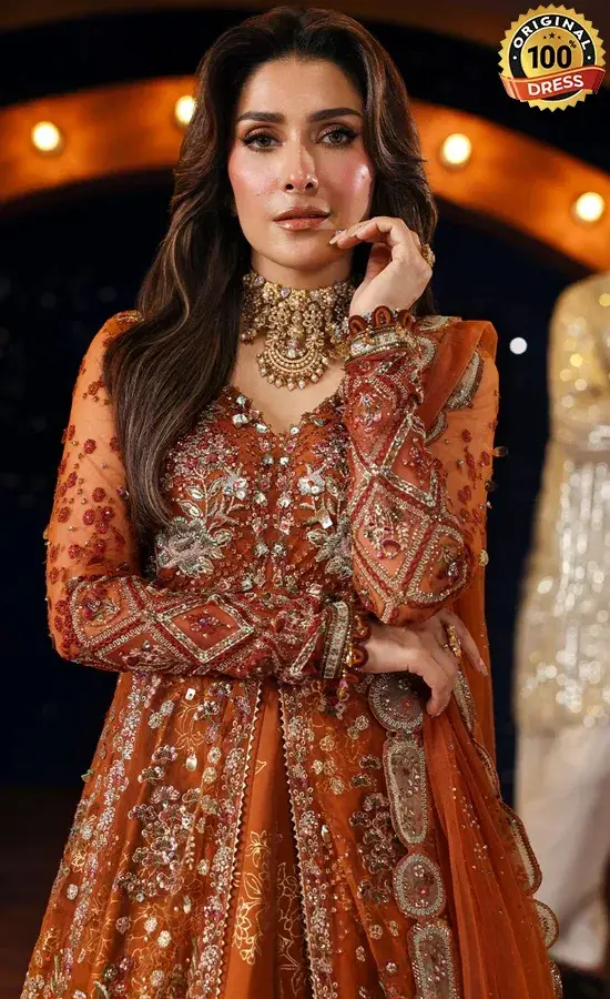 Embroidered Net NL-80 Zardozi Dress (4)