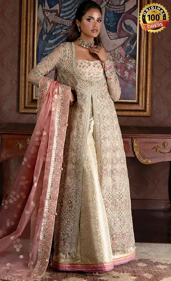 Embroidered Organza Jhilmil Dress (1) Embroidered Organza Jhilmil Dress (1)
