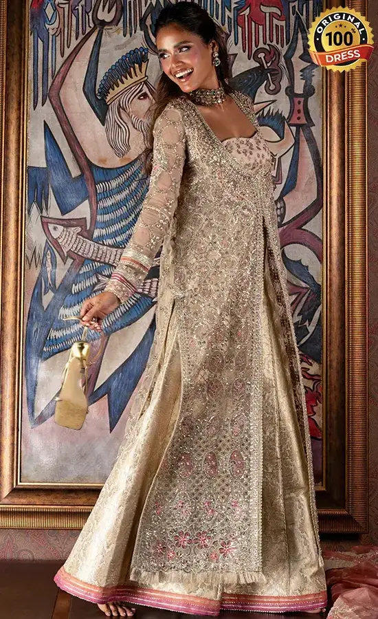 Embroidered Organza Jhilmil Dress (3)