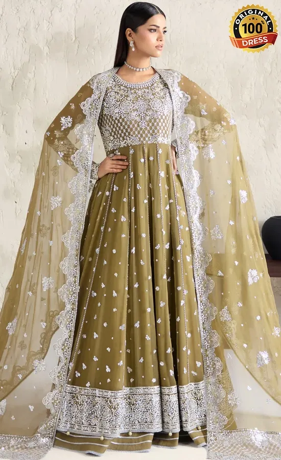 Embroidered Chiffon Moss Whisper Dress (4)