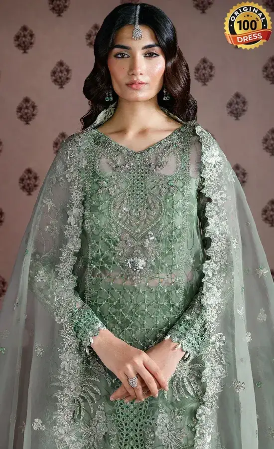 Embroidered Organza E-301 Dress (3)