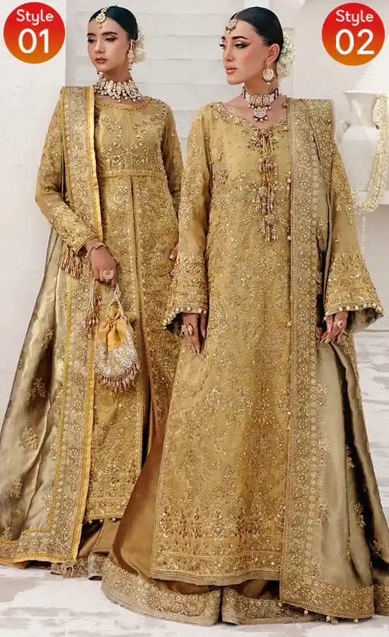 Embroidered Zari Net AIKWED 02 LOOK 10 Dress (1)