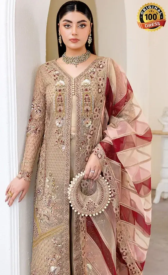 Ramsha PK Embroidered Organza H-508 Dress (3)