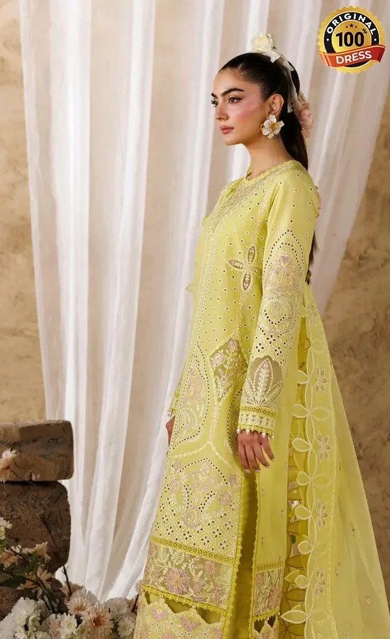 Akbar Aslam Embroidered Lawn Felene Dress (2)