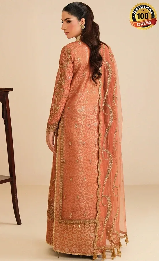 Alizeh PK Embroidered Net Dilkash Dress (4)