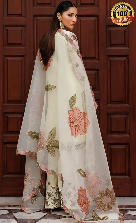 Zarif PK Emberoidered Chiffon Amani Dress (4)