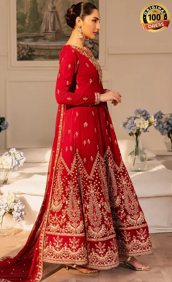 Embroidered Chiffon Cirel Dress (2)
