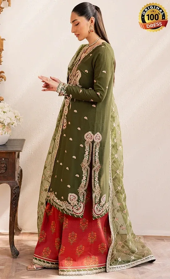 Embroidered Chiffon Oraya Dress (1)