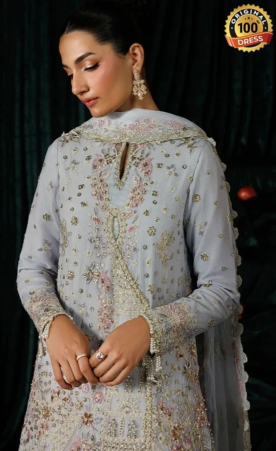 Embroidered Chiffon Selene Dress (3)