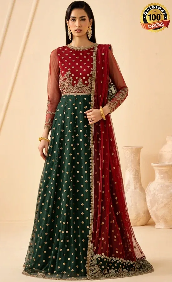 Zarif PK Emberoidered Net Elika Dress (2) Zarif PK Emberoidered Net Elika Dress (2)