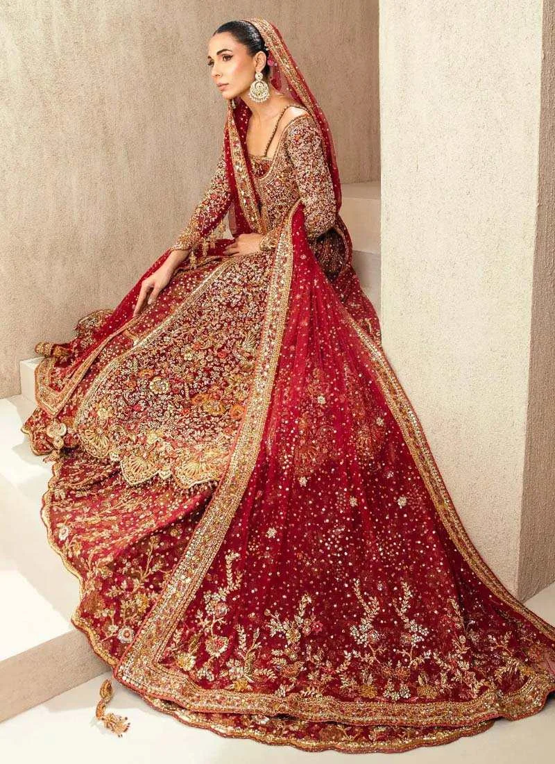 Tena Durrani Farshi Lehenga with Gown (2)