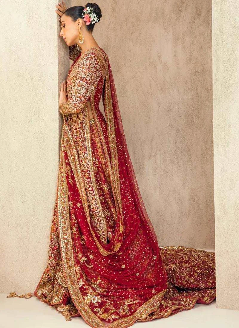 Tena Durrani Farshi Lehenga with Gown (4)